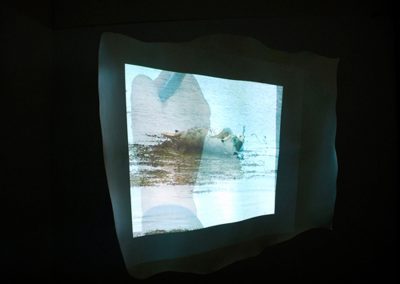 Shedding Skins installation, 2011