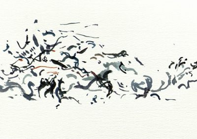 PhD Exhibition, seal movement, watercolour on paper, 2011